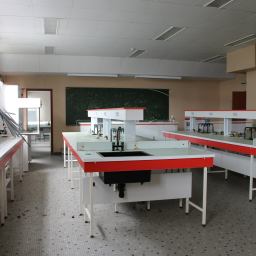 Le Lycée Scientifique