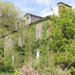 L&rsquo;Orphelinat des Ames