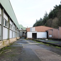 L&rsquo;Usine Des Petits Poissons
