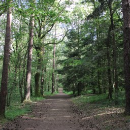 Brocéliande, Terre de légendes